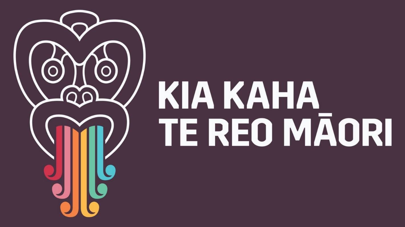 Review of Excel Digital’s Mahere Reo (Māori Language Plan)